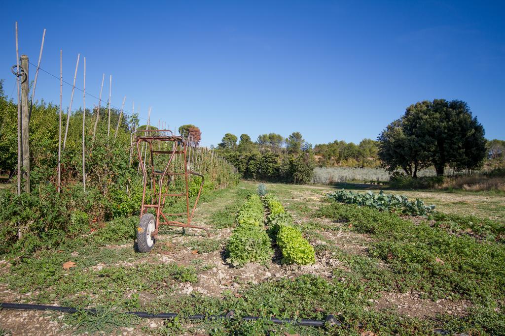 Saint-Rémy-de-Provence Les Residences De Metifiot מראה חיצוני תמונה