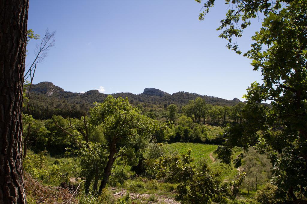 Saint-Rémy-de-Provence Les Residences De Metifiot מראה חיצוני תמונה